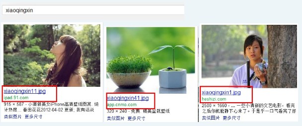 打造图片流量网站必须巧用的seo要点