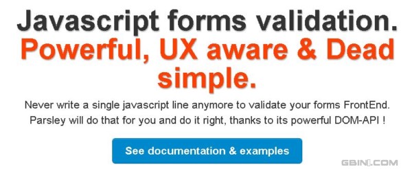 用户体验超棒且功能强大使用简单的javascript表单验证